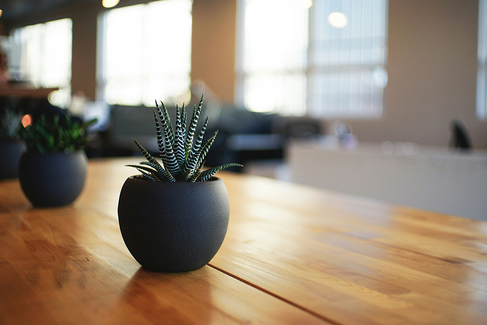 1000 perm hires delivered in 12 months
