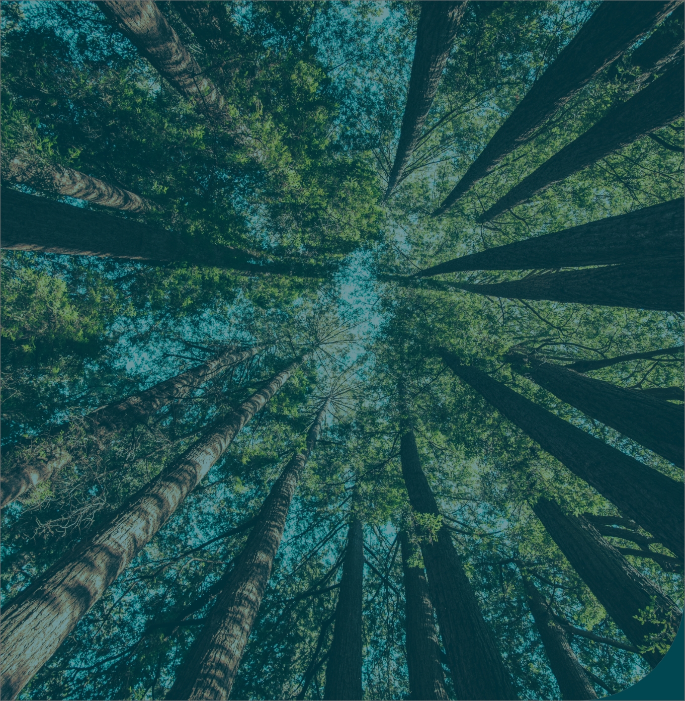 sustainable