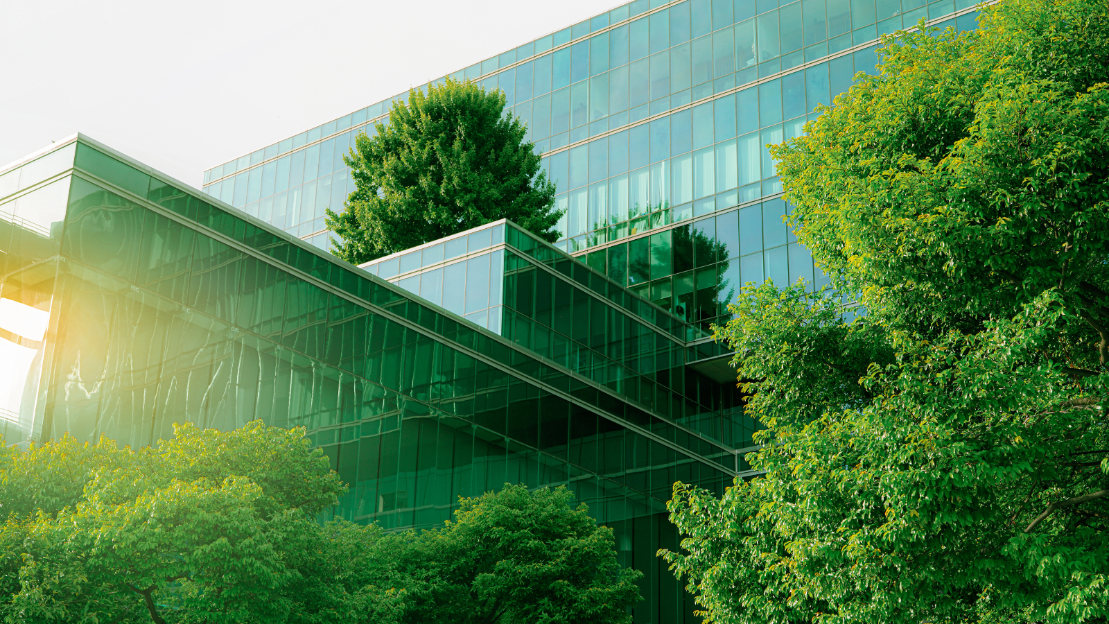 Sustainability Initiatives and their Increasing Importance to Job Seekers