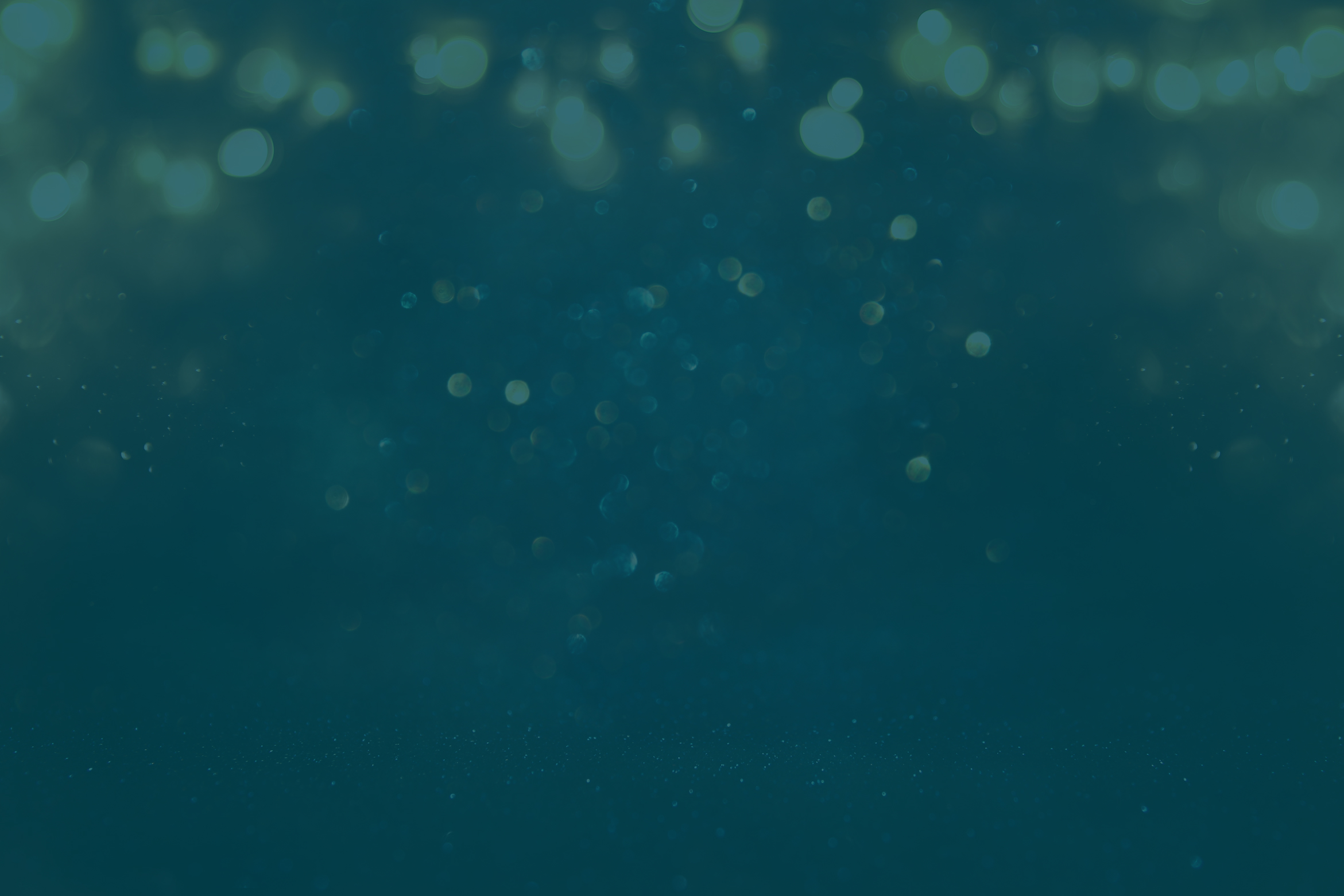 banner-bkd-2